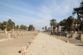 Amun-Tempel in Luxor, welchen eine 2,6 km lange Spingenallee mit Karnak verband