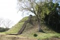 Besuch der MayastÃ¤tte Altun Ha in Belize
