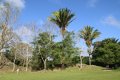 Besuch der MayastÃ¤tte Altun Ha in Belize