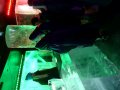 IceBar in Stockholm