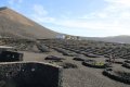 Weinanbau auf Lanzarote