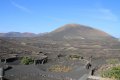 Weinanbau auf Lanzarote