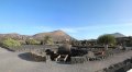 Weinanbau auf Lanzarote