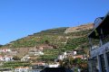 Sightseeing in Funchal (Madeira)
