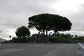 Sightseeing in Funchal (Madeira)